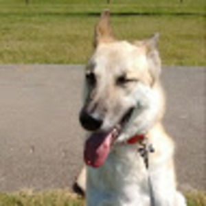 Meet your Posher, Sherri